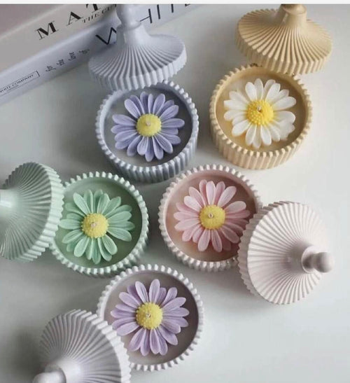 Daisy flower